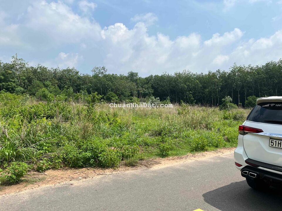 Cần bán nhanh lô 1000m2 đất vườn