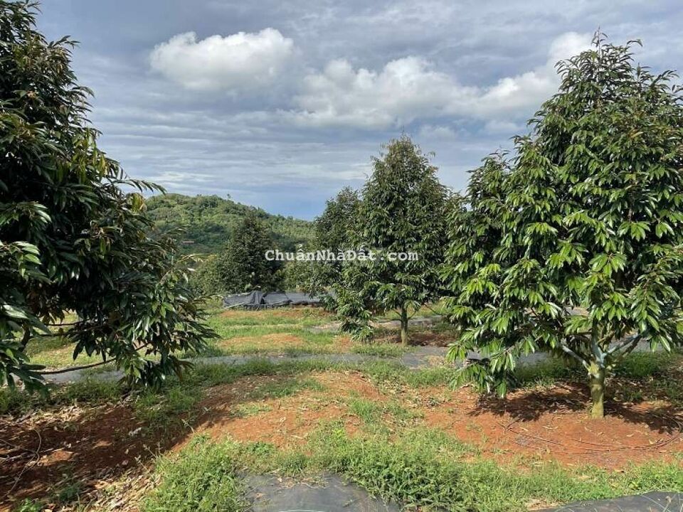 nhà bán mảnh đất xưa, đường đất đang đổ nhựa, gần trung tâm