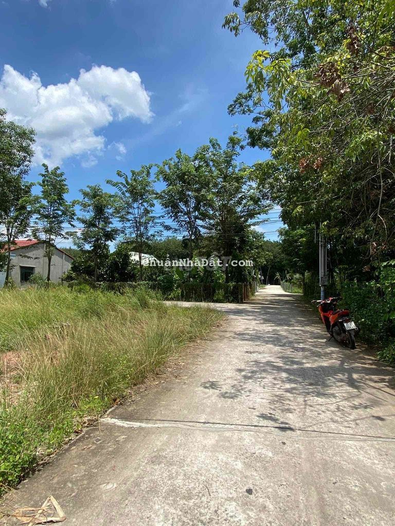 Bán Đất Ngộp ở Bình Dương