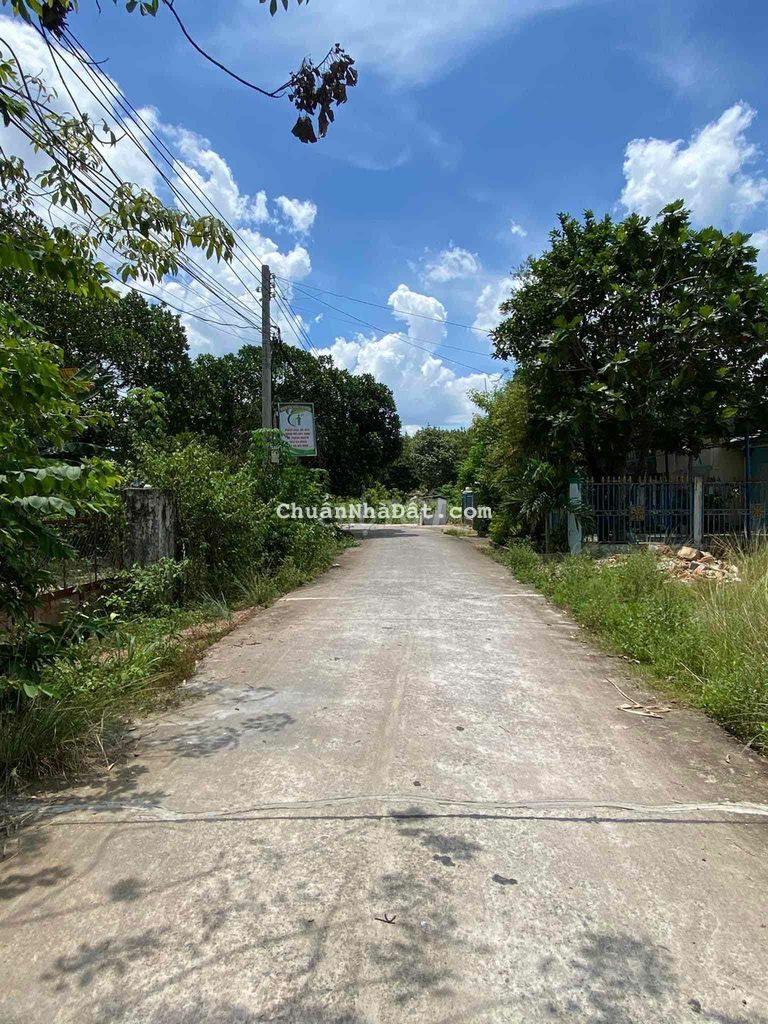 Bán Đất Ngộp ở Bình Dương