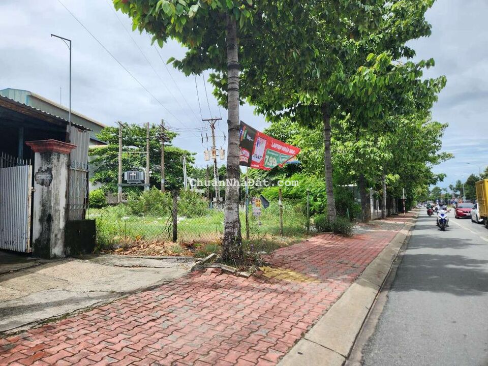 LÔ GÓC 2 MẶT TIỀN ĐỐI DIỆN TRƯỜNG HỌC NGAY KCN TÂN BÌNH LÔ GÓC 2 MẶT TIỀN ĐỐI DIỆN TRƯỜNG HỌC NGAY KCN TÂN BÌNH