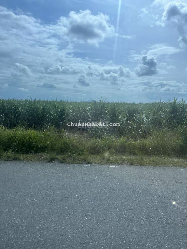 Đất thổ cư giá rẻ gần chọ trừ văn thố