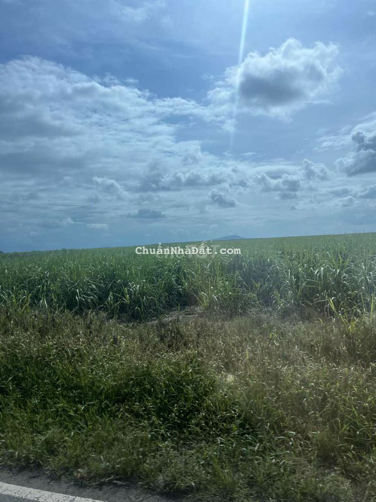 Đất thổ cư giá rẻ gần chọ trừ văn thố