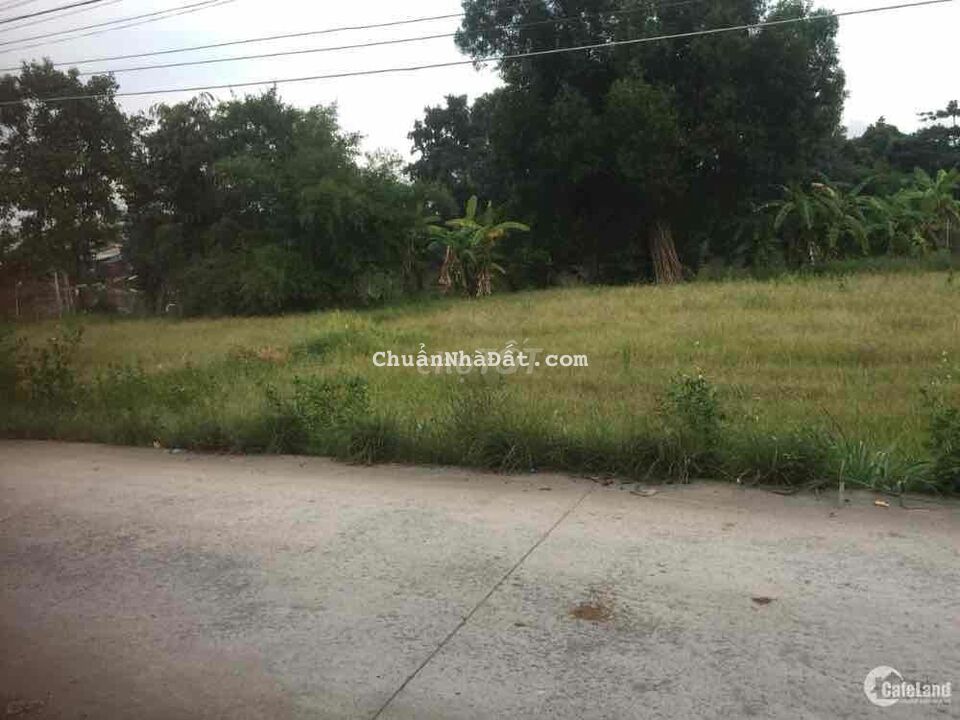 Cần bán đất thổ vườn có sẳn nhà cấp 4 đang có trồng bưởi