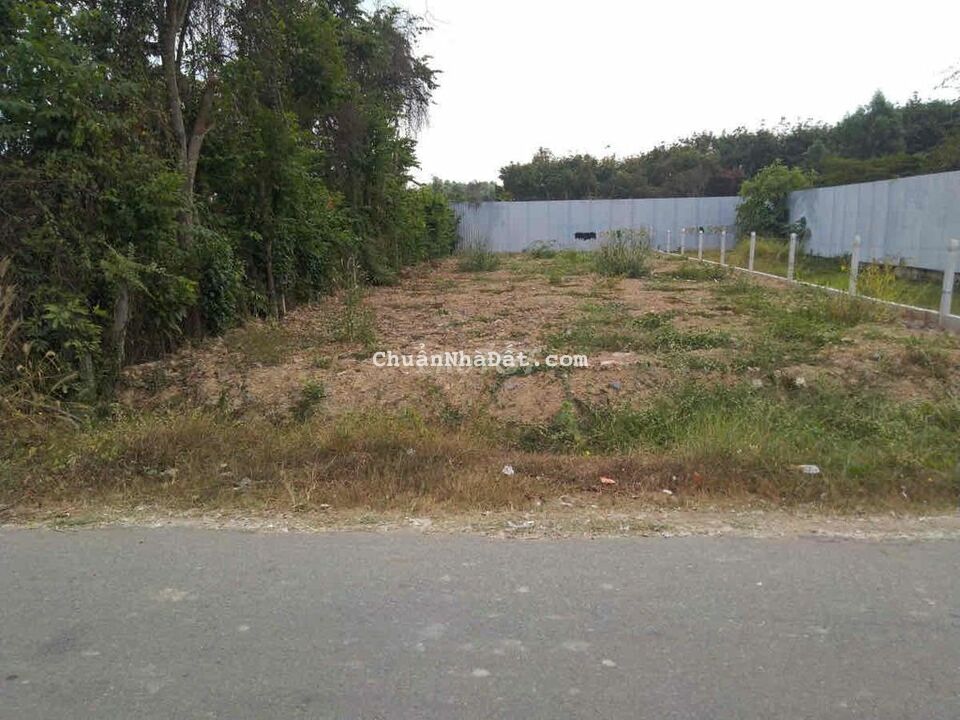 Cần bán đất thổ vườn có sẳn nhà cấp 4 đang có trồng bưởi