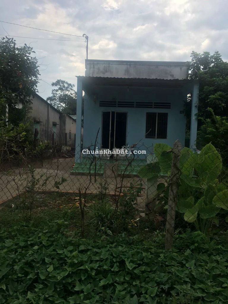 Đất chính chủ cần vốn bán gấp đất mặt tiền đường 12m