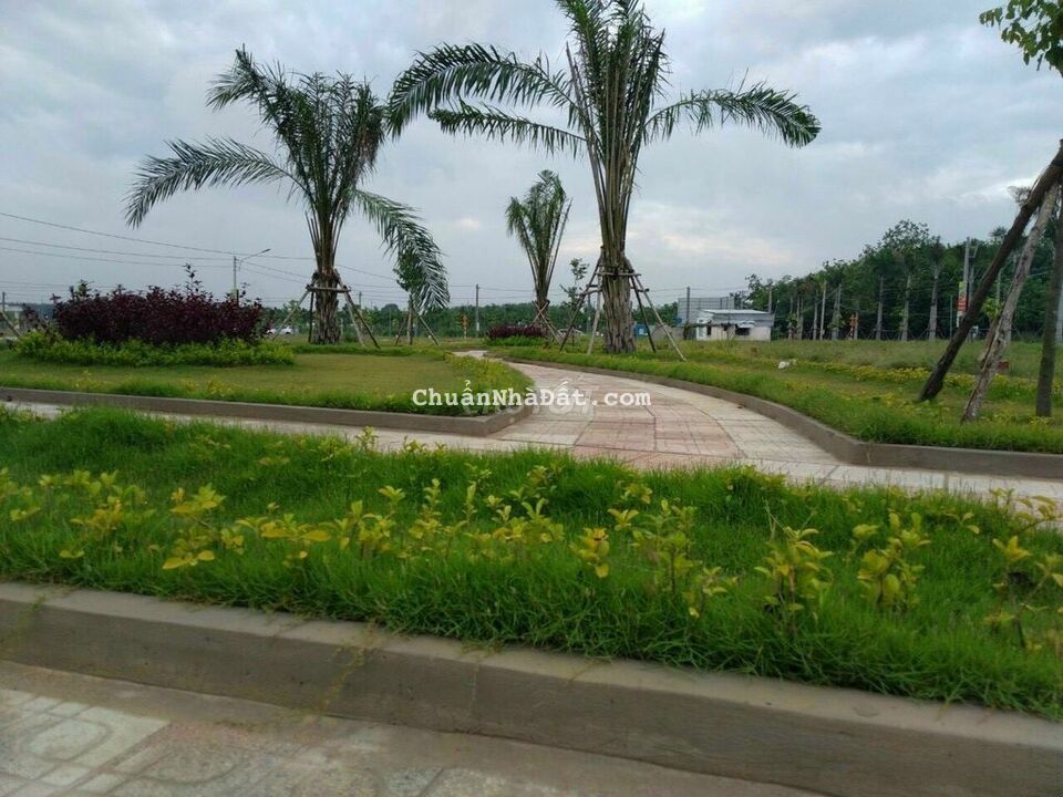 BÁN GẤP LÔ ĐẤT MT CÁCH QL13 800m , 100% THỔ CƯ