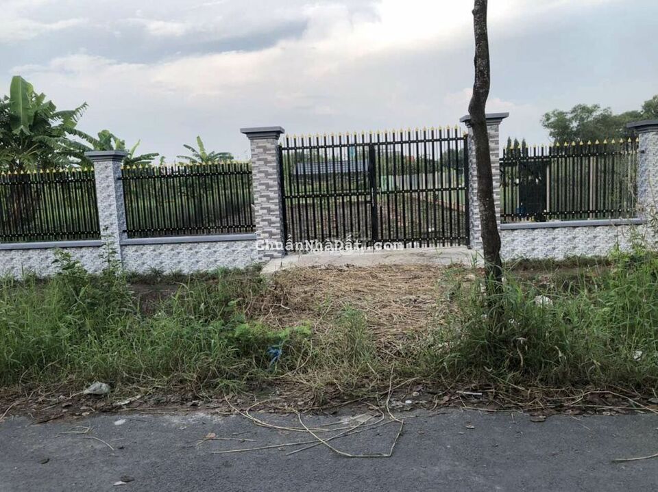 Dat vườn hưng long hàng rào cao ráo quá đẹp