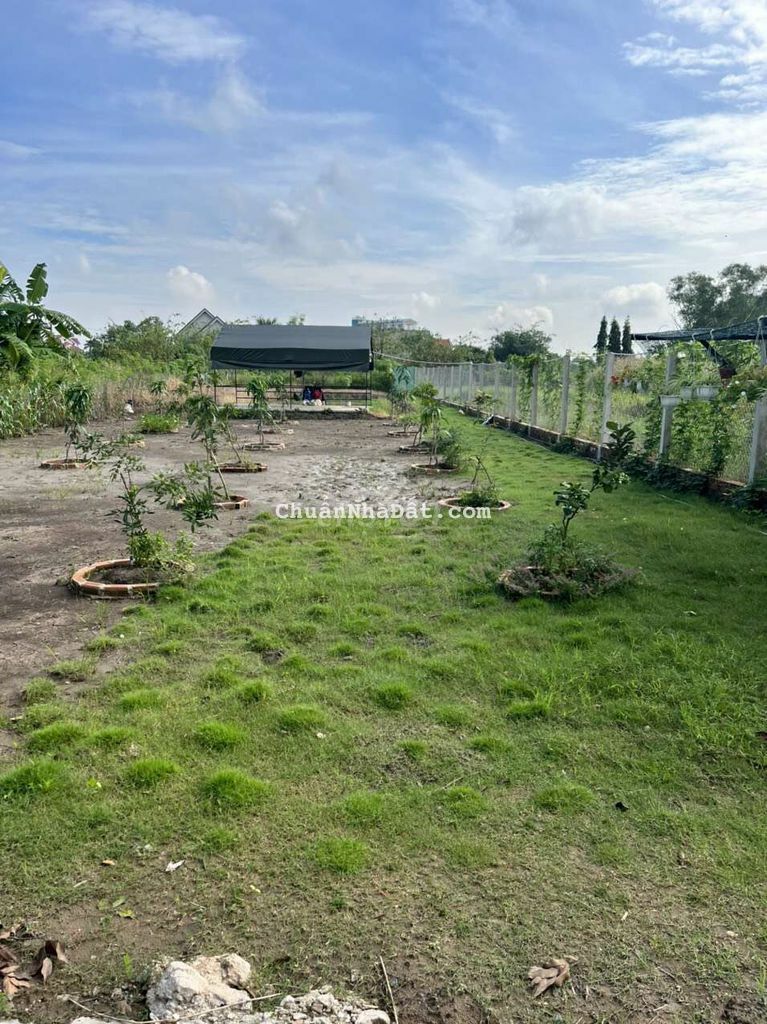 Dat vườn hưng long hàng rào cao ráo quá đẹp