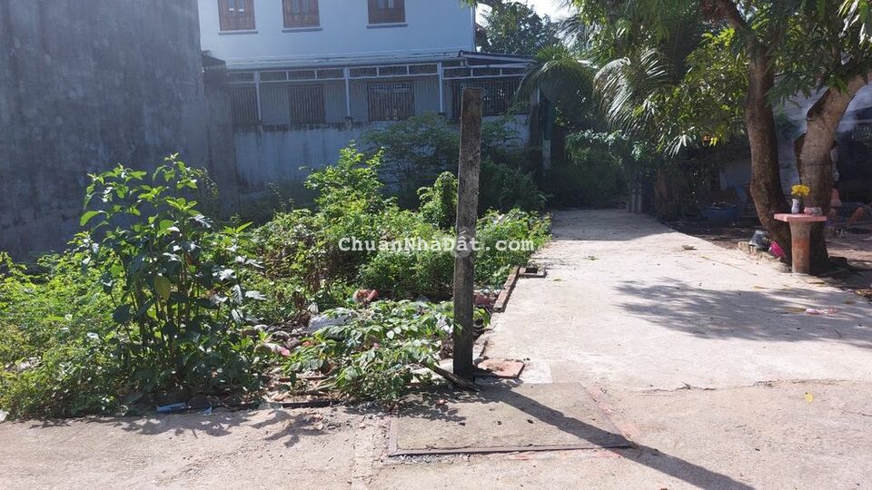 Bán nhanh đất 2 nền đất100m2 tại Tân Quý Tây – Bình Chánh giá 2 tỷ 650