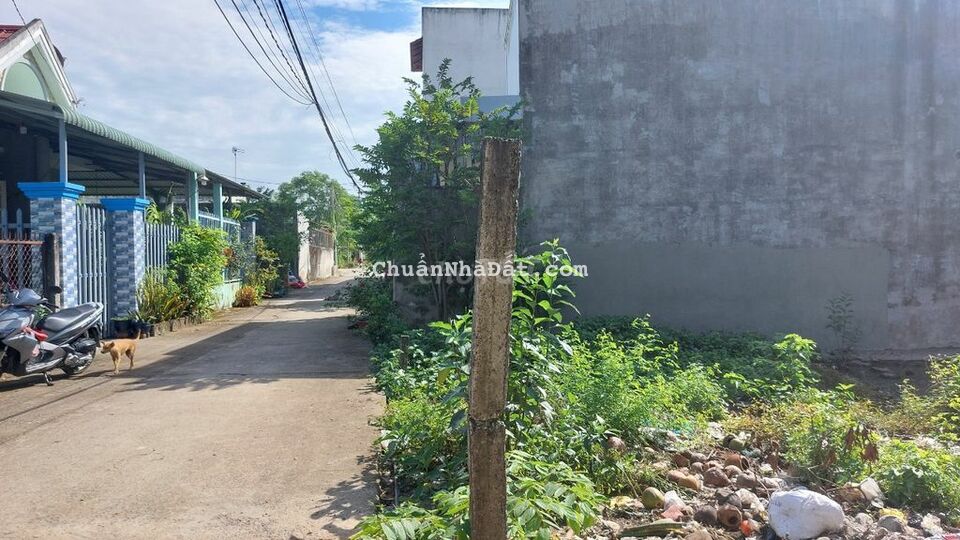 Bán nhanh đất 2 nền đất100m2 tại Tân Quý Tây – Bình Chánh giá 2 tỷ 650