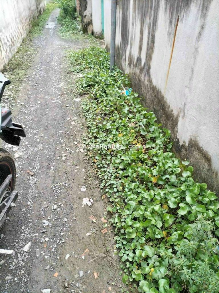 Bán đất ngộp xoay tiền làm ăn