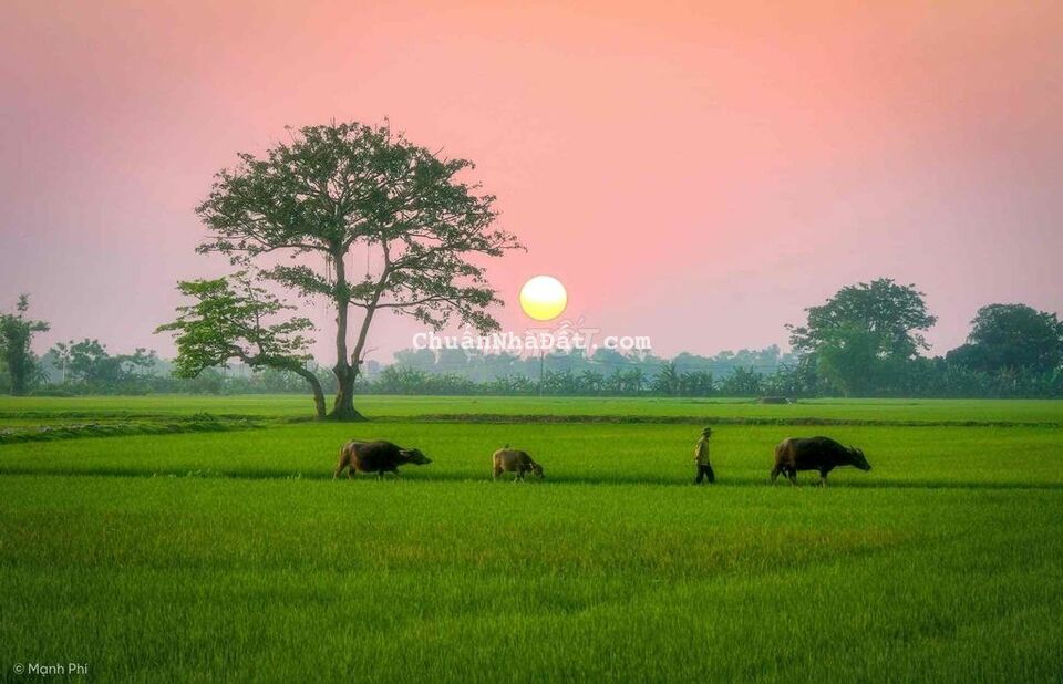 NGỢP : BÁN LÔ ĐẤT 140m2 ĐƯỜNG OTO 1TỶ2 SHR - NGAY MT ĐOÀN NGUYỄN TUẤN