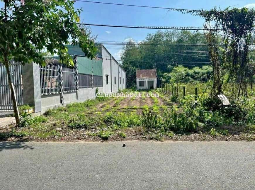 DO QUÁ NỢ VAY NGÂN HÀNG CẦN CHI TRẢ BÁN GẤP LÔ ĐẤT LỚN 280M2 BÌNHCHÁNH DO QUÁ NỢ VAY NGÂN HÀNG CẦN CHI TRẢ BÁN GẤP LÔ ĐẤT LỚN 280M2 BÌNHCHÁNH