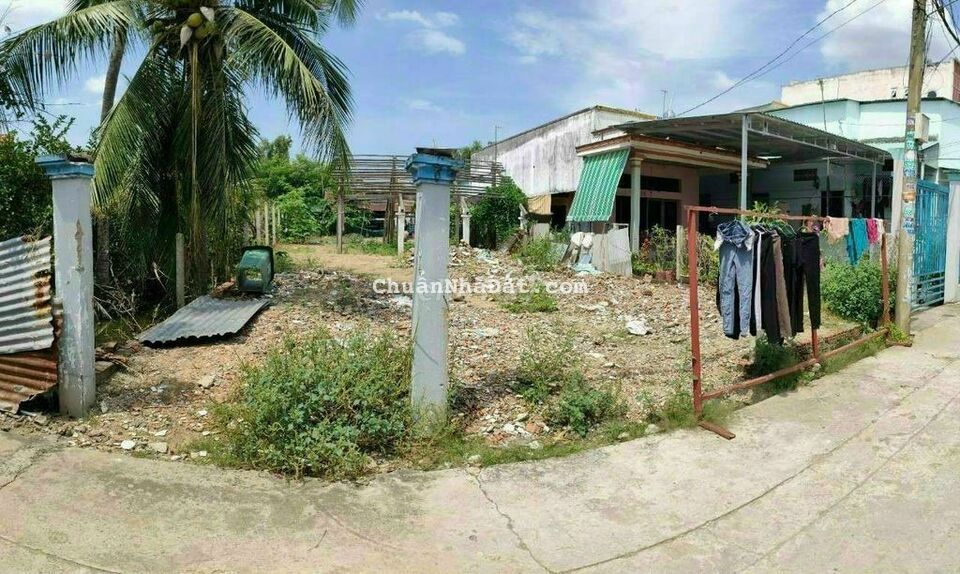 🆘🆘 ĐẤT THỔ CƯ GIÁ NGỘP TÂN NHỰT 535 🆘🆘 ĐẤT THỔ CƯ GIÁ NGỘP TÂN NHỰT 535