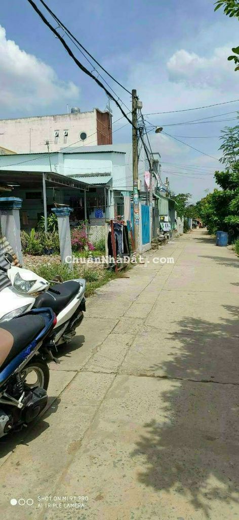 🆘🆘 ĐẤT THỔ CƯ GIÁ NGỘP TÂN NHỰT 535 🆘🆘 ĐẤT THỔ CƯ GIÁ NGỘP TÂN NHỰT 535