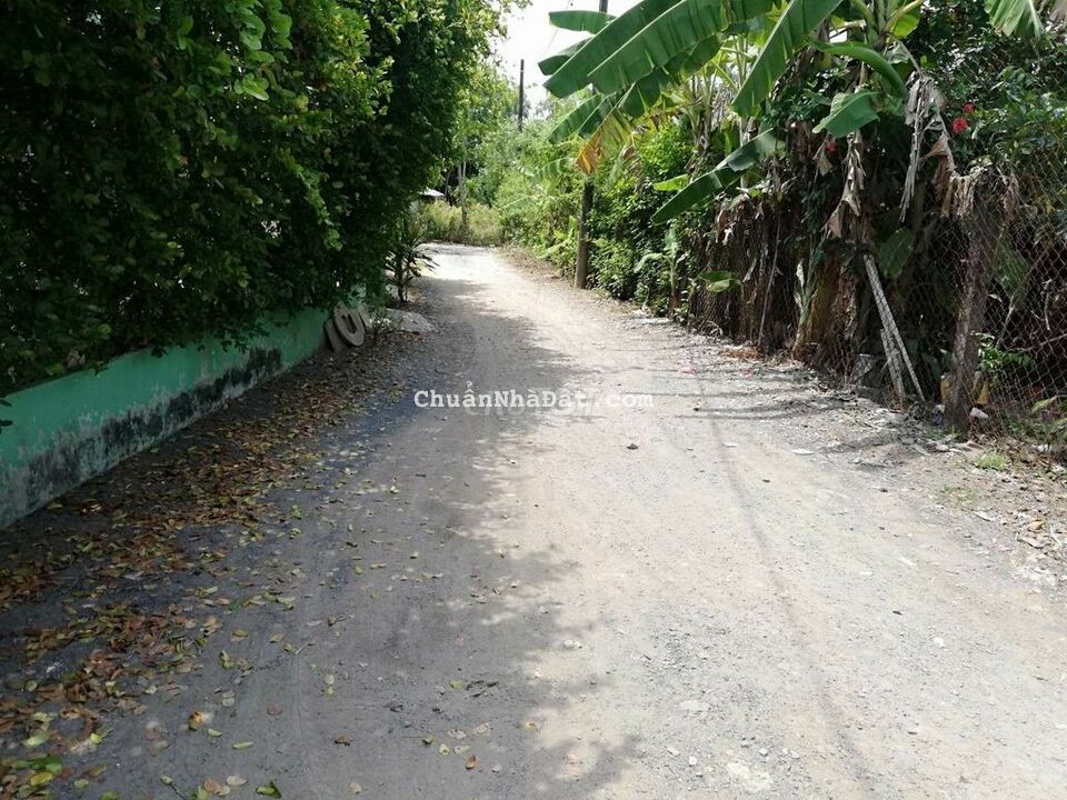 Đất vườn thị trấn tân túc xe hơi Đất vườn thị trấn tân túc xe hơi