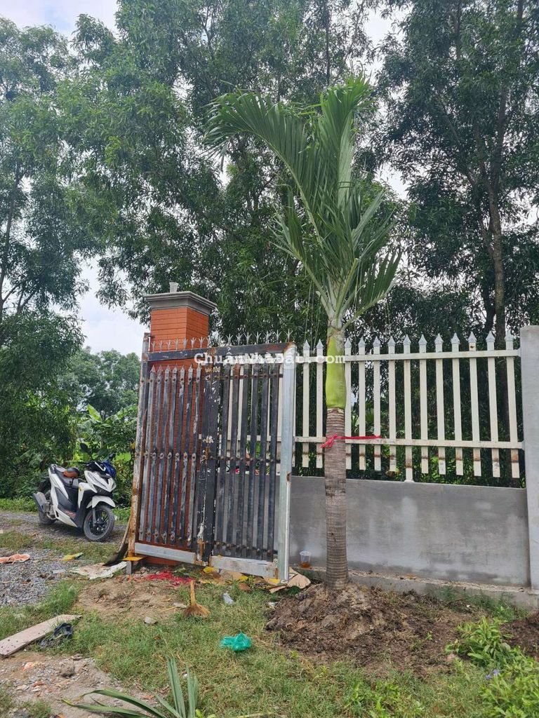 🆘🆘 ĐẤT THÍCH HỢP LÀM NHÀ VƯỜN BÌNH CHÁNH GIÁ TỐT 874