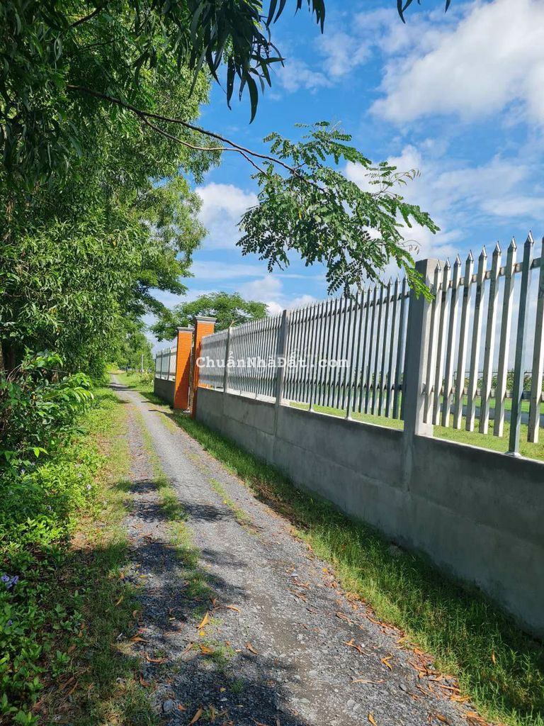 🆘🆘 ĐẤT THÍCH HỢP LÀM NHÀ VƯỜN BÌNH CHÁNH GIÁ TỐT 874