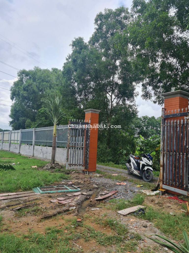 🆘🆘 ĐẤT THÍCH HỢP LÀM NHÀ VƯỜN BÌNH CHÁNH GIÁ TỐT 874