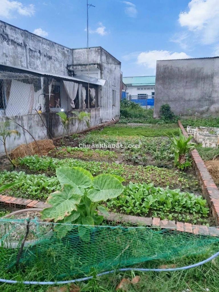 🆘🆘 ĐẤT NỀN THỔ CƯ TÂN QUÝ TÂY GIÁ TỐT 567