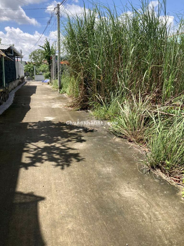 Cần bán gấp lô đất Hưng Long.  Bình Chánh, thổ cư 100%