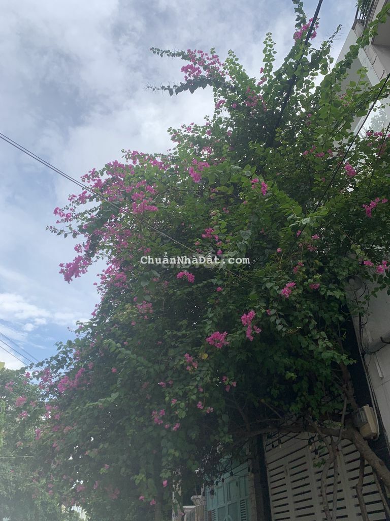 Bán đất TẶNG NHÀ Cấp 4- DT: 5x20m Bình Lợi, P13,BT giá 10,8 tỷ TL Bán đất TẶNG NHÀ Cấp 4- DT: 5x20m Bình Lợi, P13,BT giá 10,8 tỷ TL