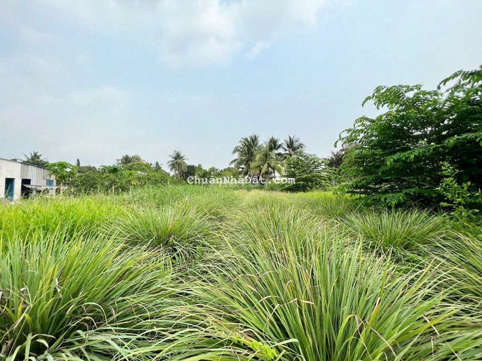 Nền View sông mặt tiền đường Lê Hồng Gấm, Bình Thuỷ, Cần Thơ