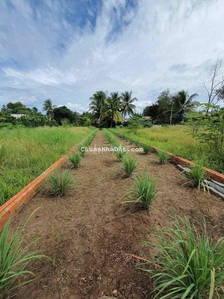 Nền 138m2 sh có thổ vỉew sông Mặt Tiền Lê Thi Hồng Gấm, binh thuỷ,CTho