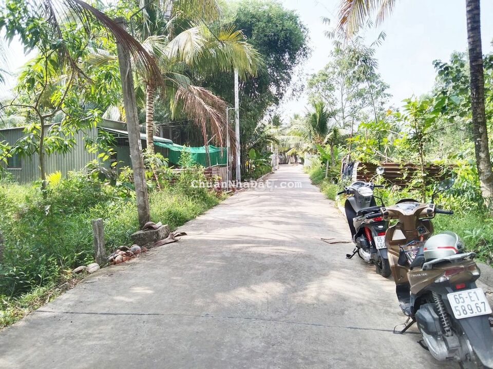 Đất 7.7x28 nở hậu Lộ 4m thông 2 lộ lớn 91B và Bùi Hữu Nghĩa