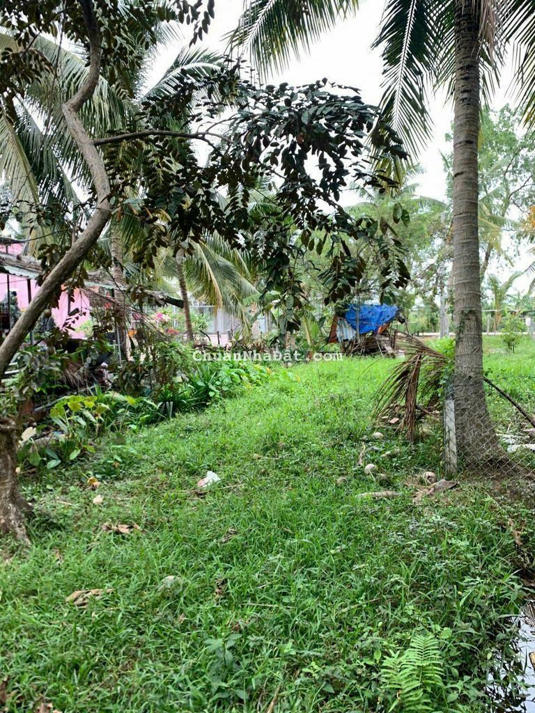 Nền Biệt thự cố thổ. Lộ ô tô rẻ nhất tuyến đường. Dân cư đông