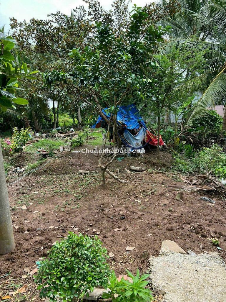 Nền Biệt thự cố thổ. Lộ ô tô rẻ nhất tuyến đường. Dân cư đông