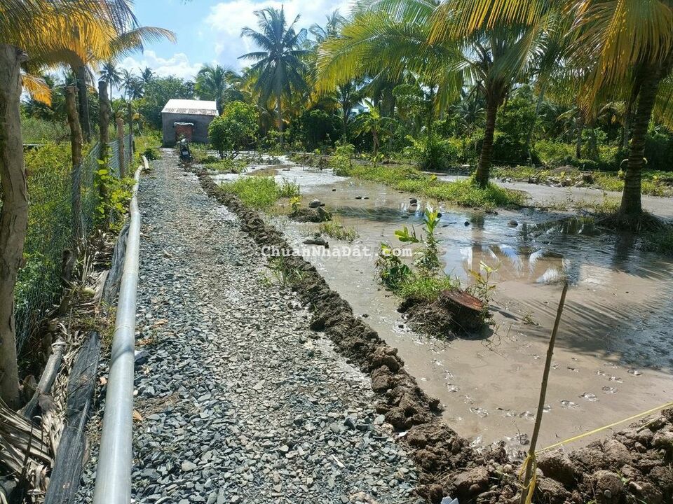 18x17=306m2 đất CLN giá 790 triệu nhánh Rạch Chánh-Huỳnh Phan Hộ BT CT