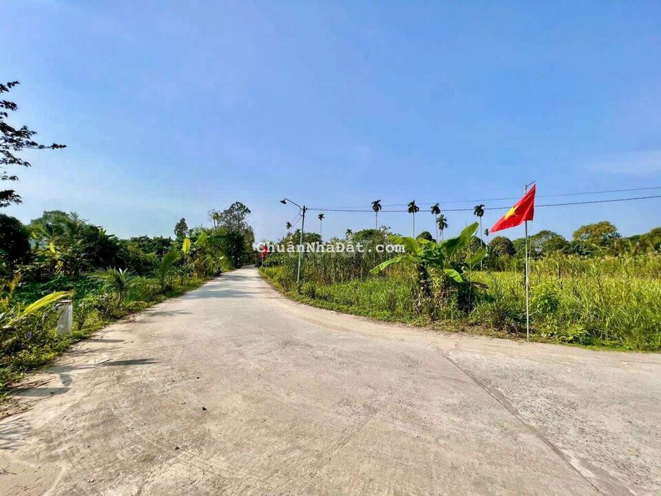 Vài nền góc Tạ Thị Phi