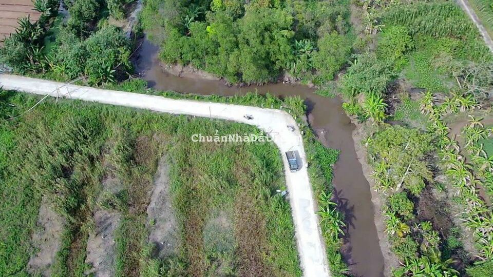 Vài nền góc Tạ Thị Phi