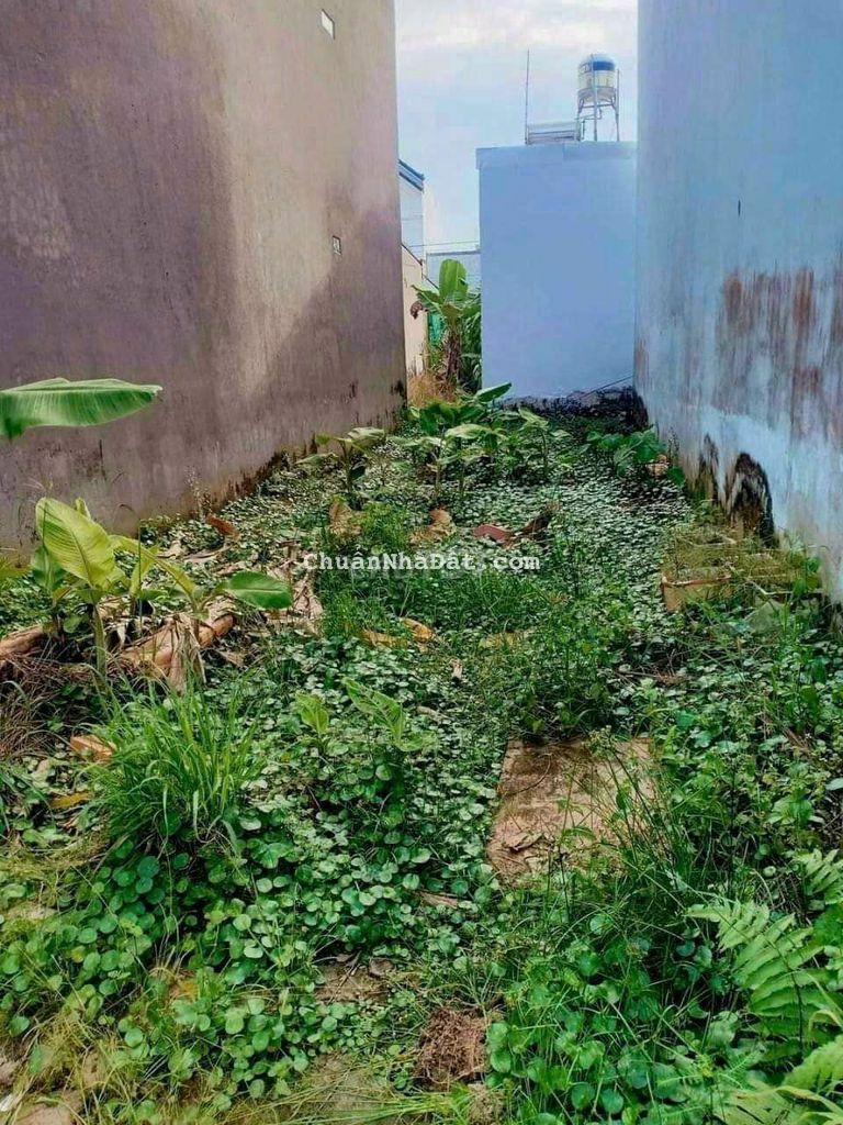 BÁN ĐẤT RẺ BÈO