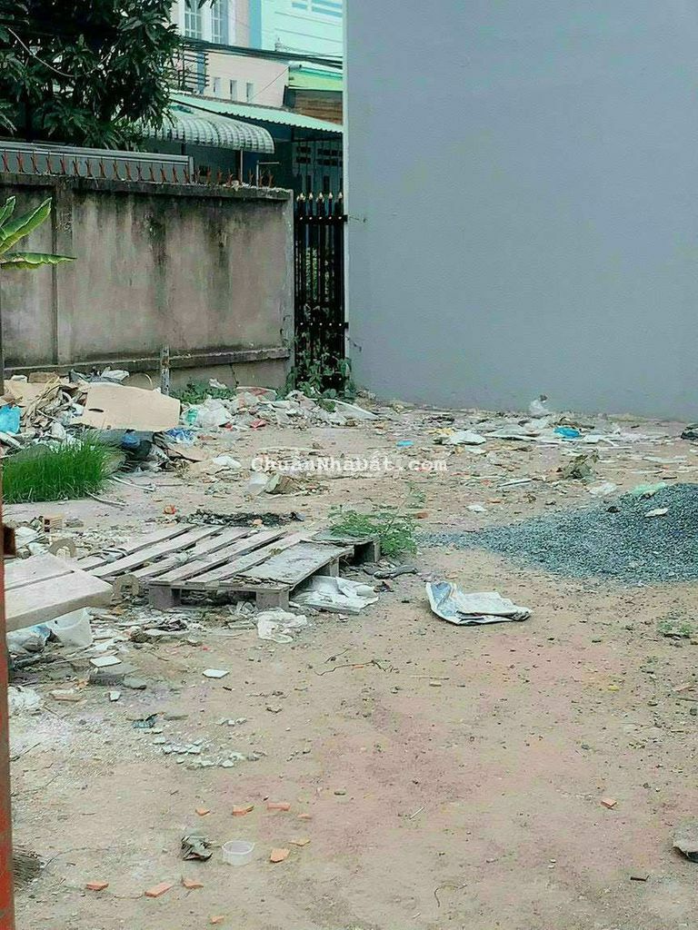 Chinh chủ bán đất