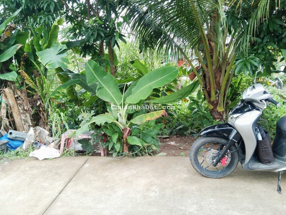 Đất 5x17.4 tổng 84.2m2 thổ cư Lộ 4M Long Tuyền Bình Thủy