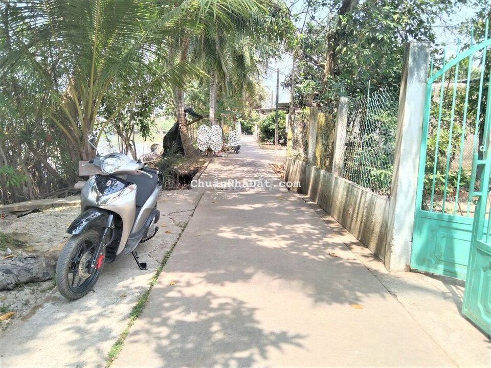 Đất thổcư 5x17 hẻm Lê Thị Hồng Gấm TràAn BìnhThủy Đất thổcư 5x17 hẻm Lê Thị Hồng Gấm TràAn BìnhThủy