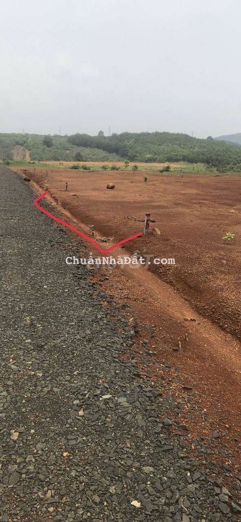 🏜LỜI NGAY X3X4..._BÁN LỖ 50Triệu lô đất 1006m2 đất KV  Bình phước