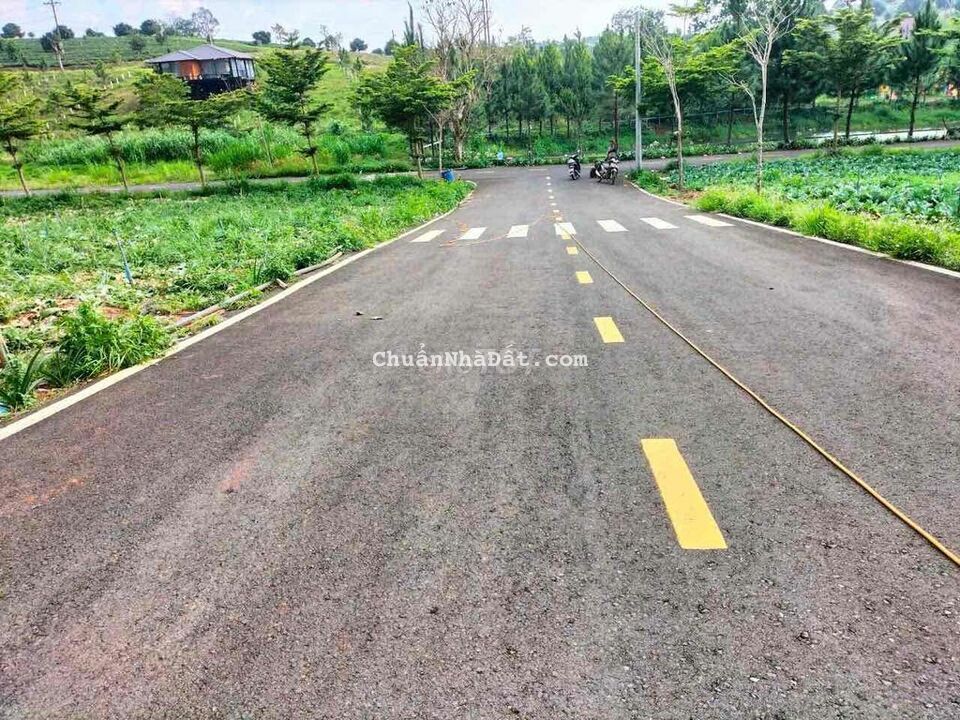 Bán lô đất thổ cư gần chợ Đamri Lộc Tân Bảo Lộc