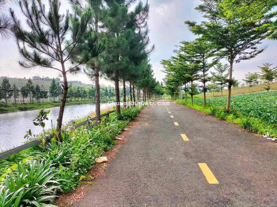 Bán lô đất thổ cư gần chợ Đamri Lộc Tân Bảo Lộc