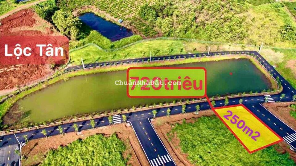 Cần bán Gấp lô Lộc Tân 100m2-200m2 full thổ view Hồ gần Cao Tốc