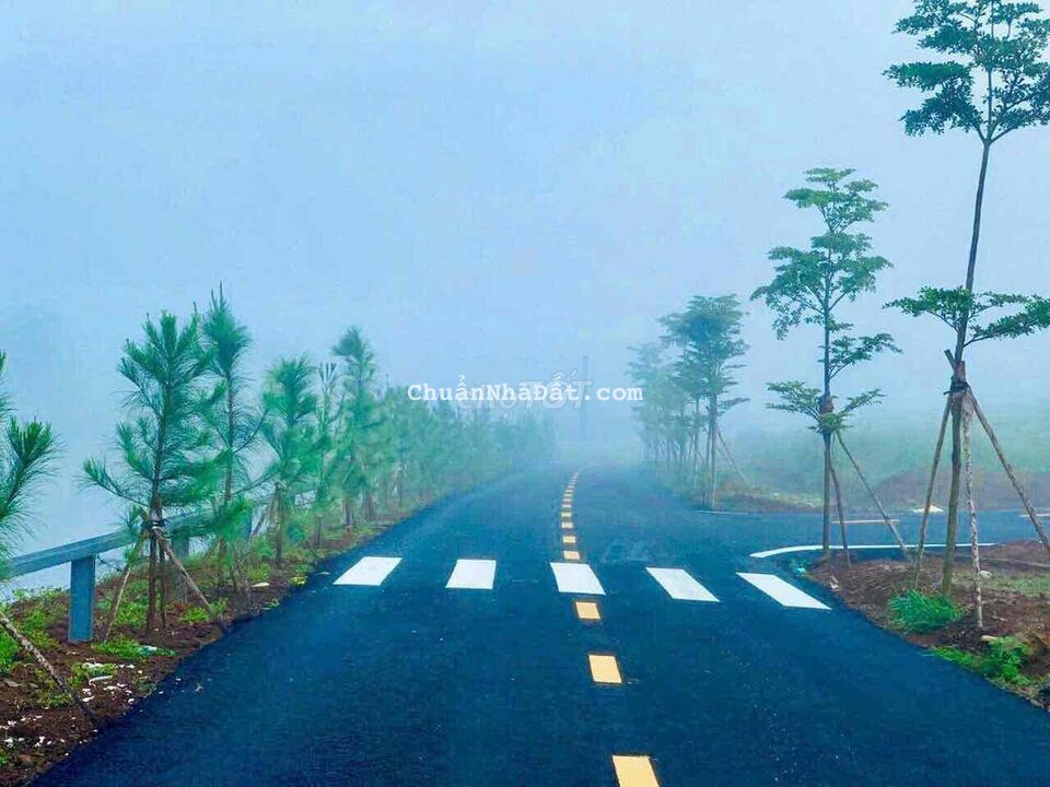 Thanh Lí lô lô liền kề 5x20 đất thổ View Hồ Bảo Lộc