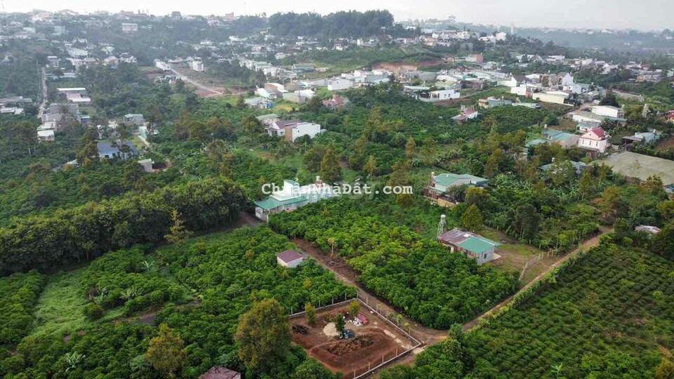 Chủ đất nợ không thở nổi bán rẻ lô đất Lộc Quãng