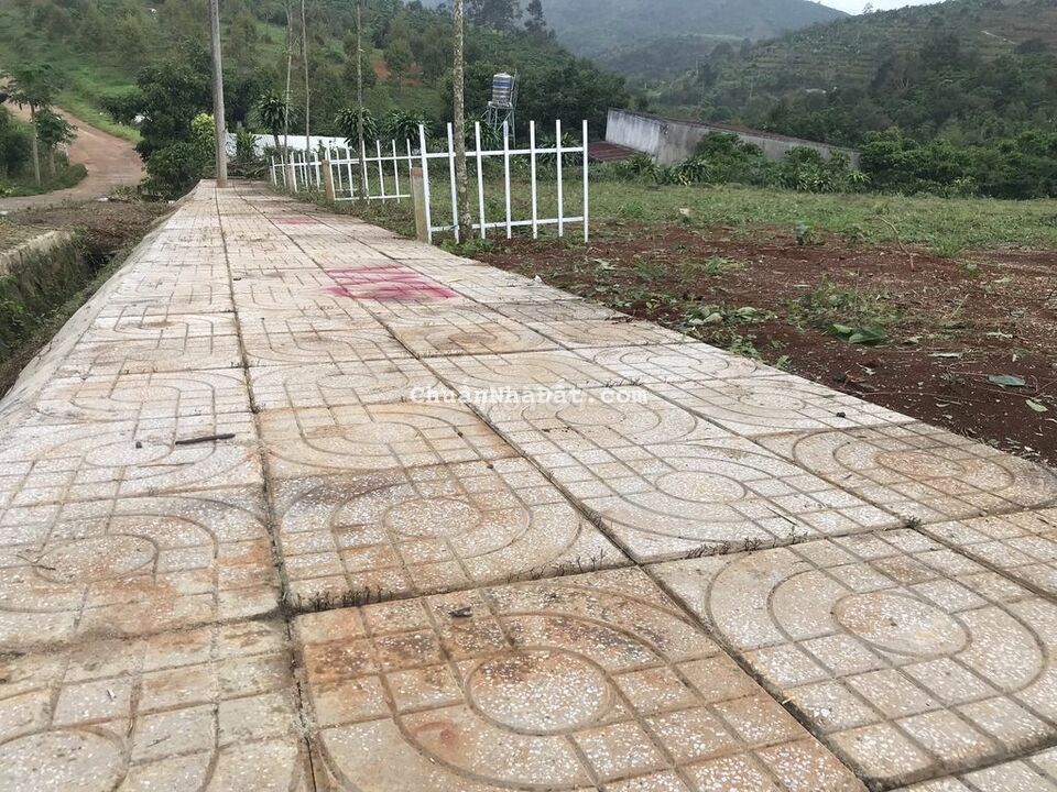 Cần bán gấp lô đất 178m2,90m2 thổ,580tr.Xã Tân Lạc, Bảo Lâm ,Bảo Lộc .