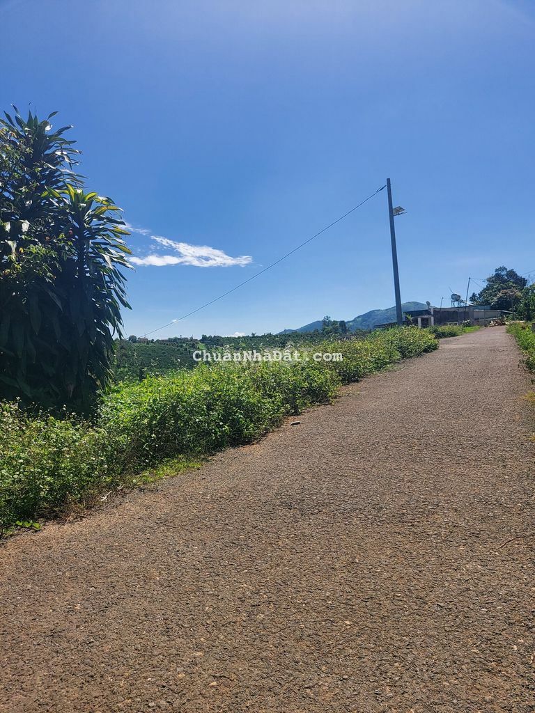 bán gấp lô đất ngang 7m ,mặt tiền đường nhựa, Lộc An, Bảo Lâm, Bảo Lộc