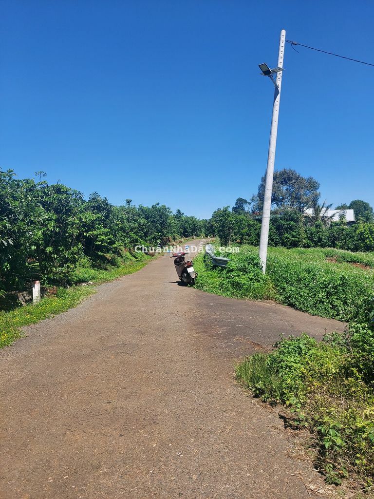 bán gấp lô đất ngang 7m ,mặt tiền đường nhựa, Lộc An, Bảo Lâm, Bảo Lộc