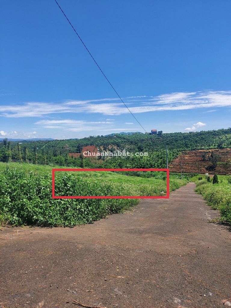 bán gấp lô đất ngang 7m ,mặt tiền đường nhựa, Lộc An, Bảo Lâm, Bảo Lộc