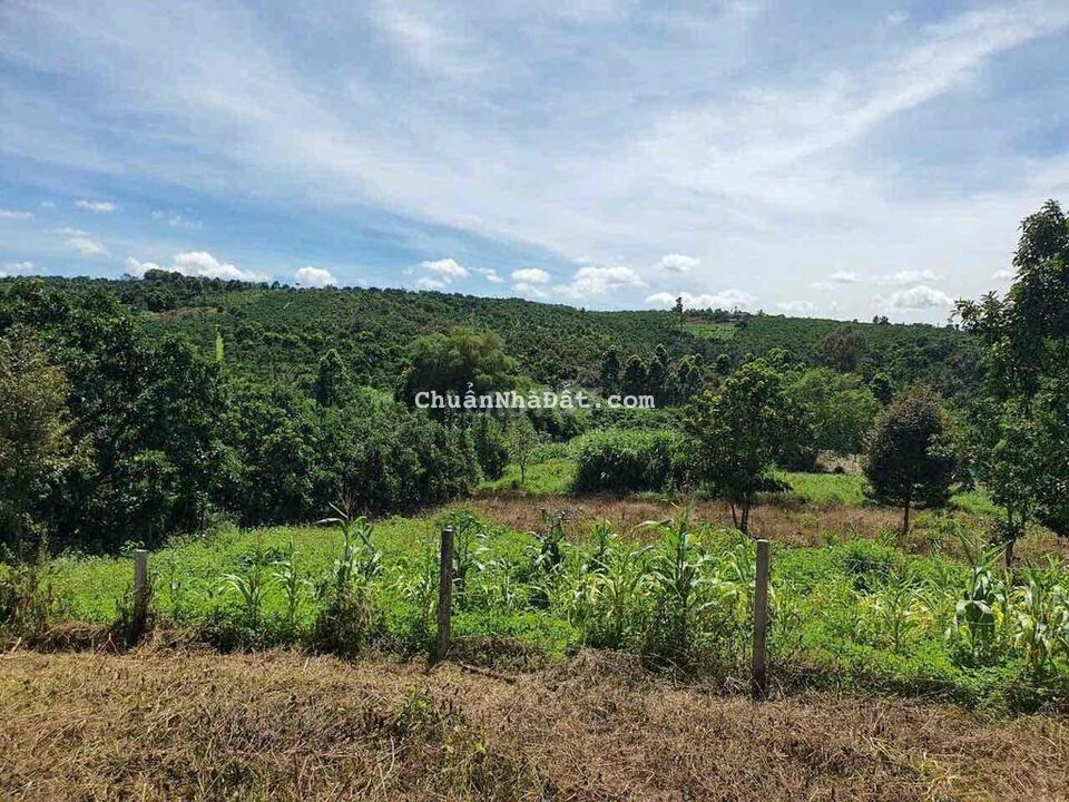 Bán lô đất 2 xào có 400m thổ cư xã Lộc Đức huyện Bảo Lâm